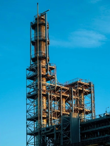 Petrochemicals & Pharmaceuticals
